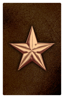 DF35T 430 CP BR Star Copper Brown